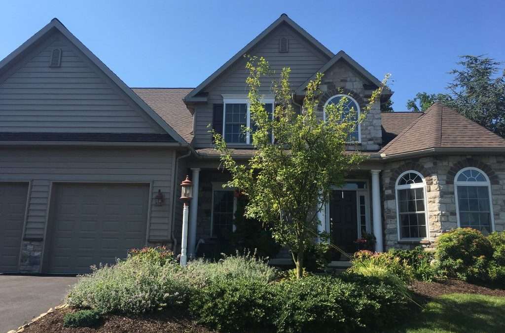 Animals Invading Your Home