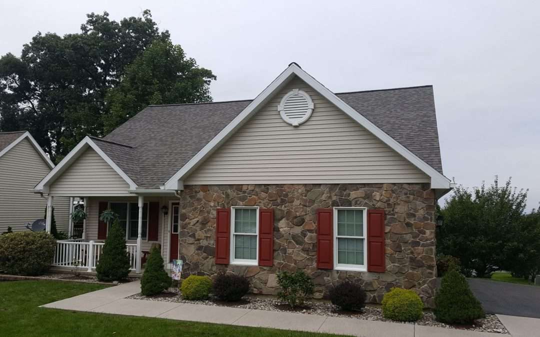 What to Do After Losing a Shingle