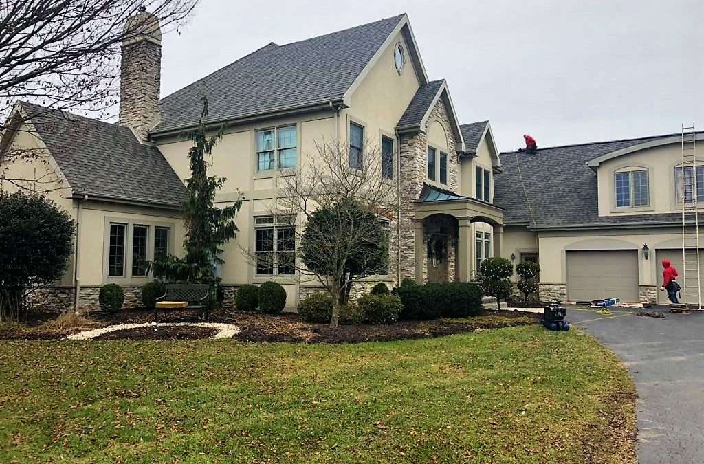 Tree Branches VS Your Roof
