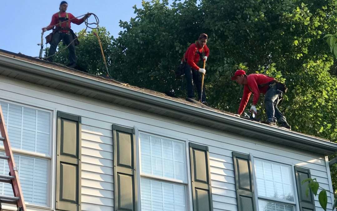 Knowing when it’s time to replace your roof