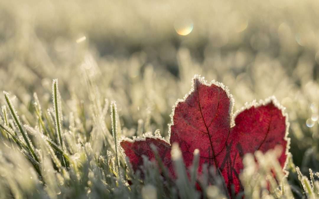 Winterizing & Preparing for Ice, Snow and Cold