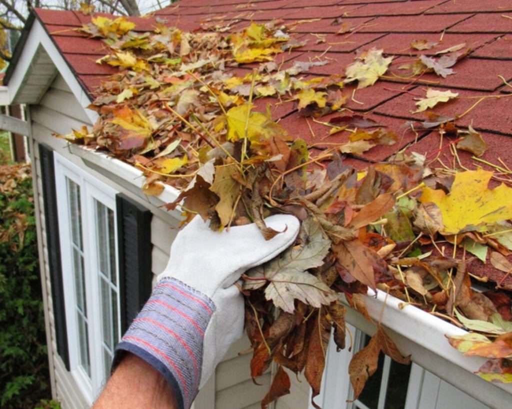 gutter cleaning
