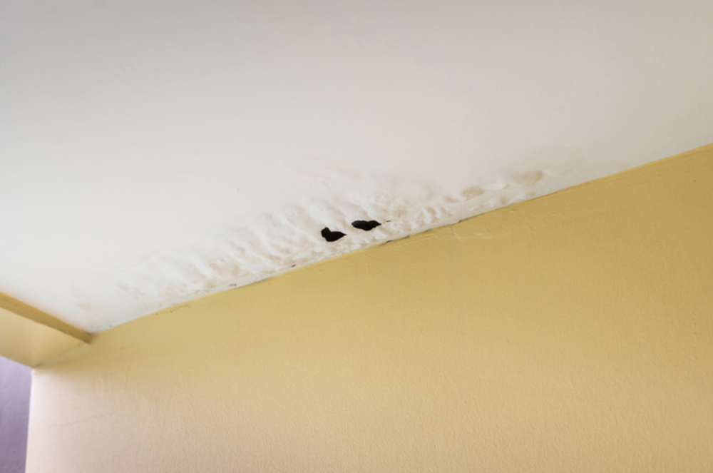 water stains and leaks coming through ceiling