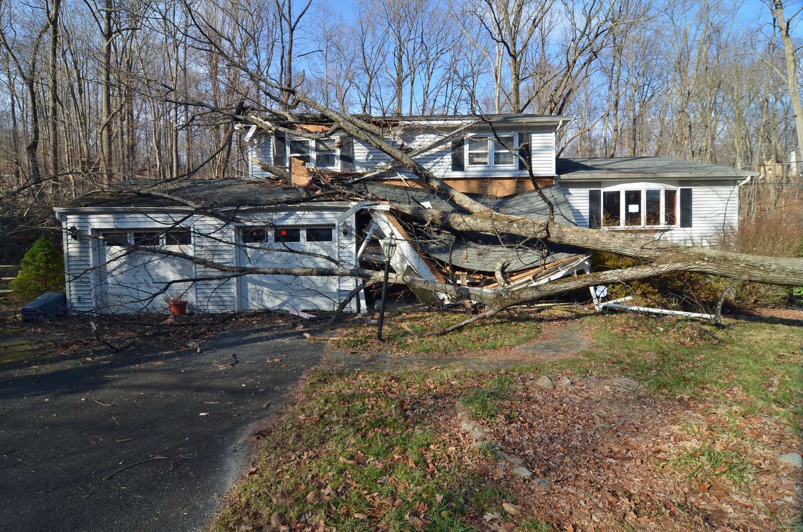 Large tree fallen on house