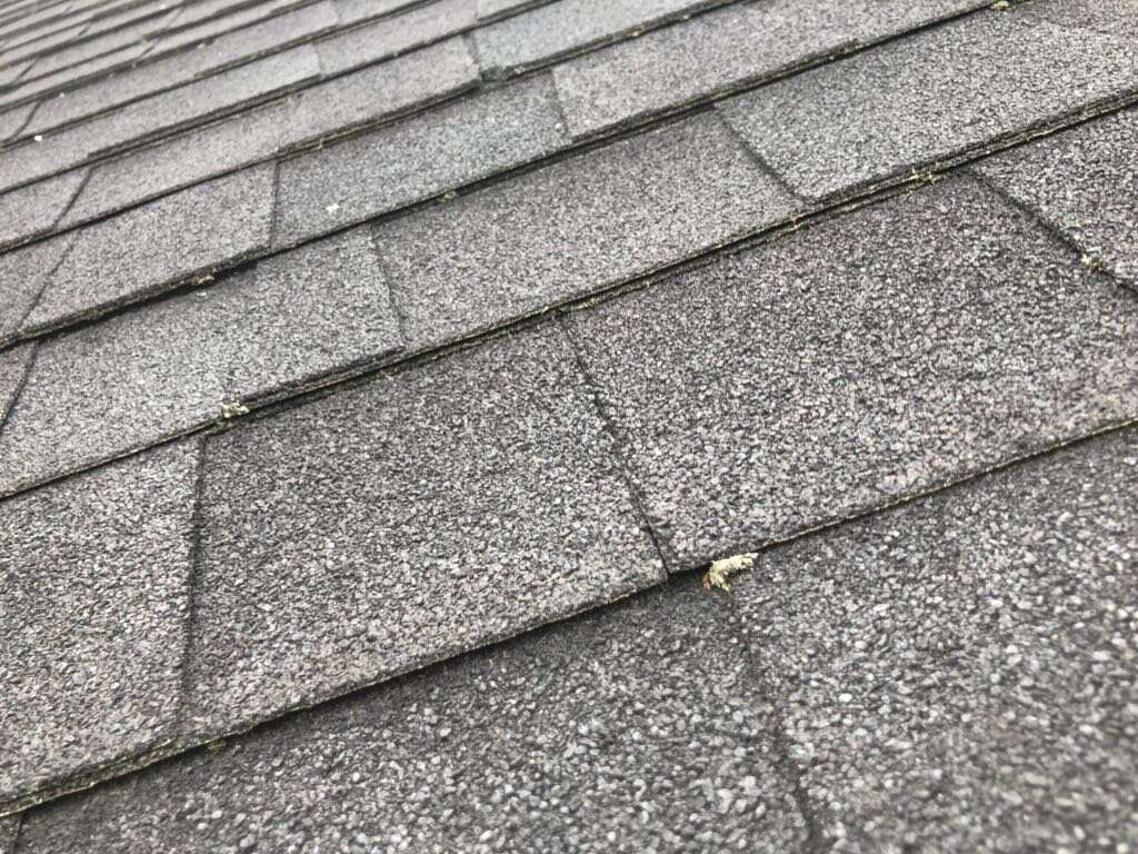 Storm Damage weathered shingles