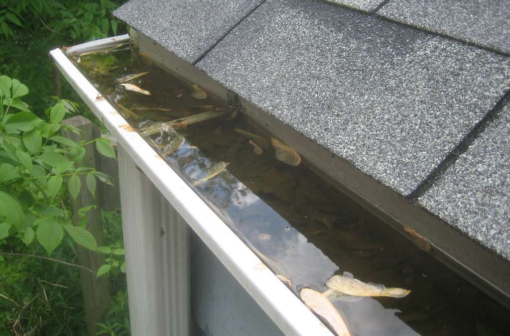 How to Clear Clogged Gutters
