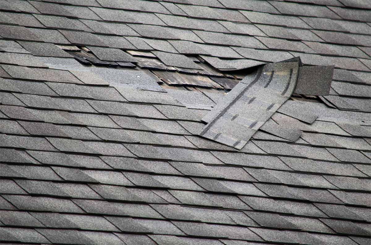 Roof Damage Torn off shingles