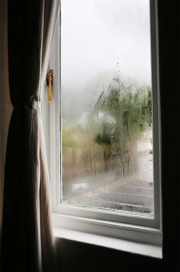 condensation buildup on window
