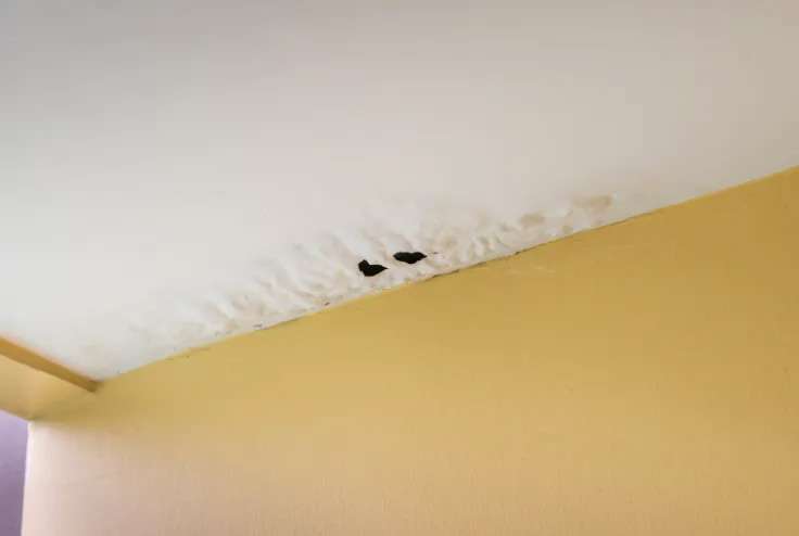Ceiling water lead | Common Roofing Problems