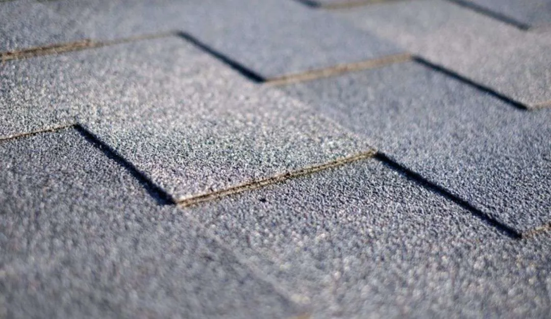 Roof Types and Roofing Materials
