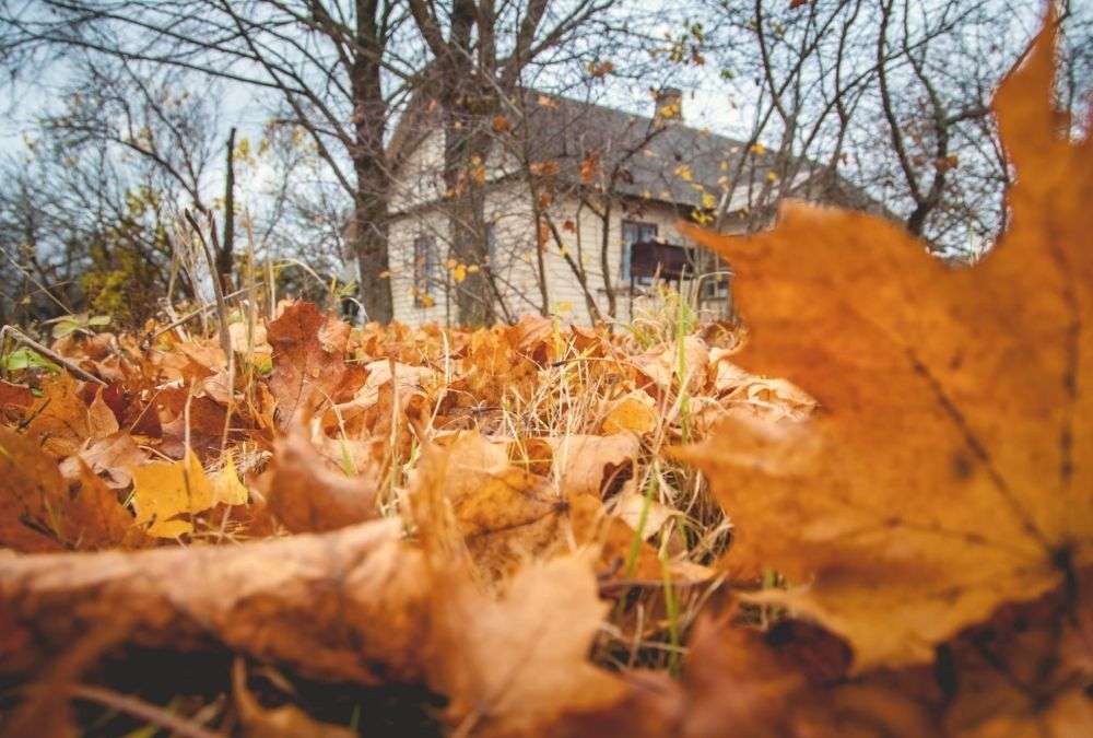 Home Maintenance During The Fall